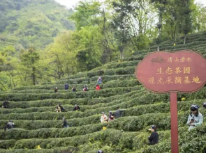 Yinxiu Shangting Hotel