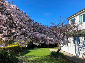 Chez Tiaré - The Loft Apartment