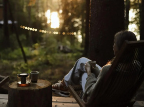 Вили Улей Карелия