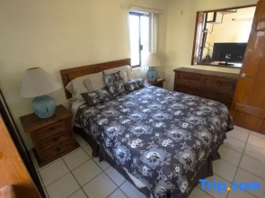 2BD Condo in La Costa Phase 2!