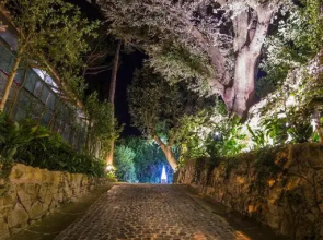 La Canonica dei Fiori - Anna Fendi