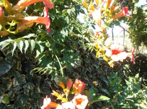 Tone & Marta Apartments