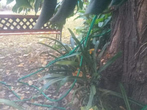 RAIZ DEL CIELO, entre 2 jardines de ensueño