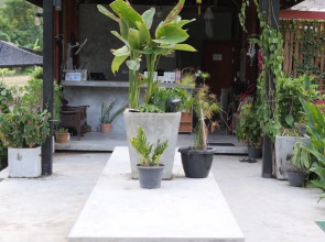 Samui Caravans Hill Camp