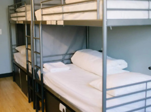 The Local - Hostel