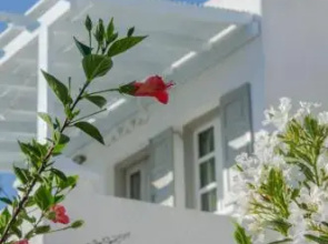 Island House Hotel