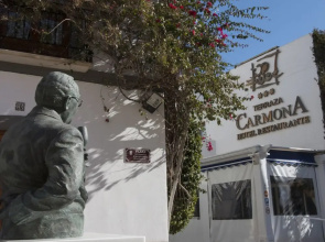 Terraza Carmona