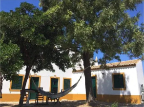 Apartamentos Cardo