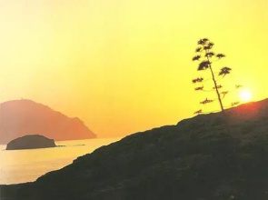 Camping Cabo De Gata