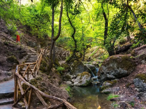 Angela Downtown Hotel