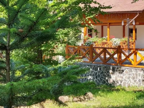 Pintea Chalet