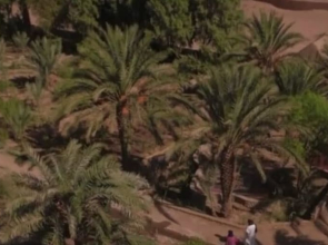 Sahara Source Vie