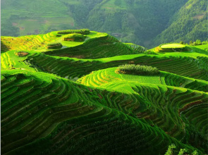Lavande Hotels·Guilin Longsheng