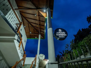 Spacious 4-bed Apartment in Katugastota