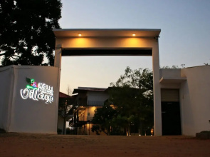 Hotel Freedom Village