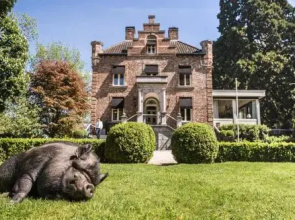 Kasteeltje Hattem