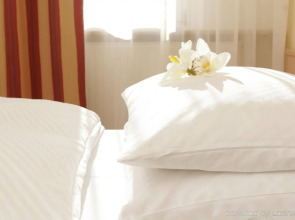 ARAMIS Tagungs- und Sporthotel