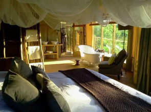 Miombo Safari Camp
