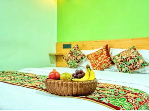 Hotel Anjeer villa Srinagar