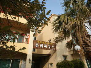 Olle House
