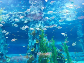 Lotte Hotel World