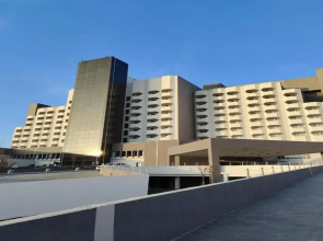 Hotel Bukhara Palace