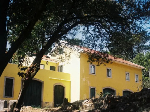 The Five House