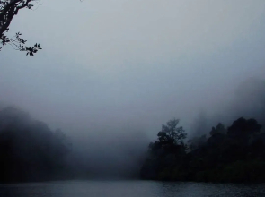 Gavi Eco-Tourism Stay with all meals and activities in Forest