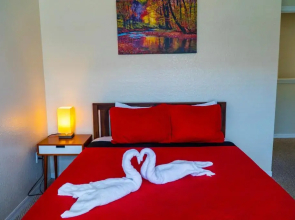 Orlando Vacation Rental 15 Miles From DISNEY