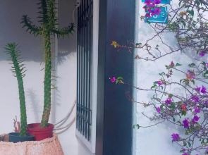 Emelce Aparts