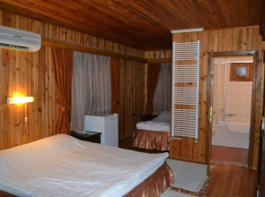 Olympos Tanrılar Kulübü