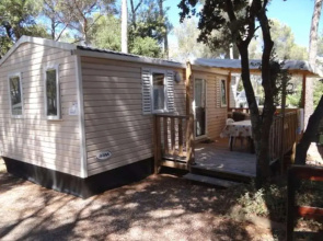 Camping Holdiay Green