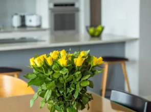 Easy Apartments Kielce