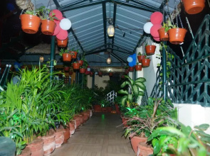 Jjs Mini Ac Party Hall