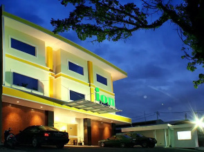 Ion Hotel