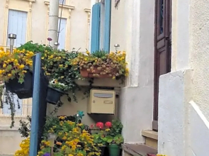 L'Orchidée