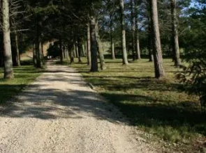 Savana Estate