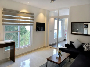 OYO 13463 Home Studio Valley view Kumarhatti
