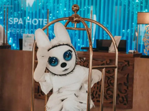 Спа- и конференц-отель V