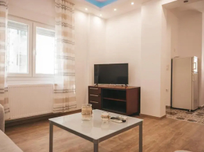 Comfortable apartment in the city center