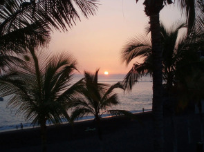 Apartamentos Playa Delphin