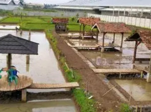 Kosan H Bambang