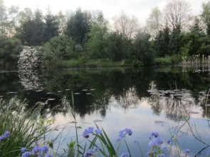 Bed & Breakfast de Vijvertuin