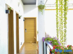 Dali Xinjing Chinese Inn Homestay