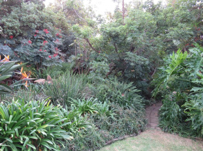 Green Pascua Guesthouse