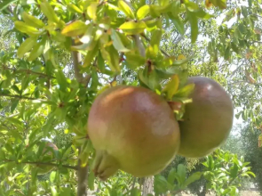 Villetta in pietra