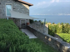 Limonaia