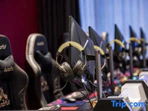 Halo. Rice Field E-sports Hotel