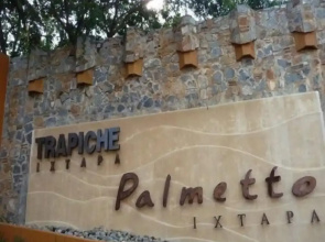 Palmetto Ixtapa 313