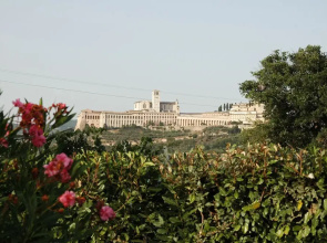 Il Podere del Falco